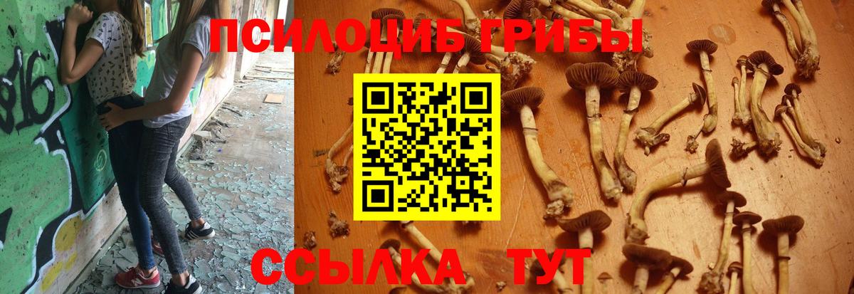 Галлюциногенные грибы ЛСД  Вход с VPN  Архангельск 